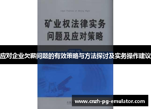 应对企业欠薪问题的有效策略与方法探讨及实务操作建议 应对企业欠薪问题的有效策略与方法探讨及实务操作建议